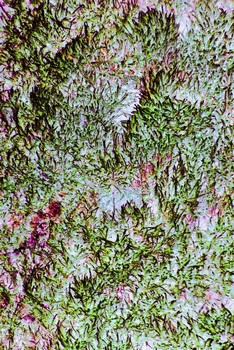 N 130b